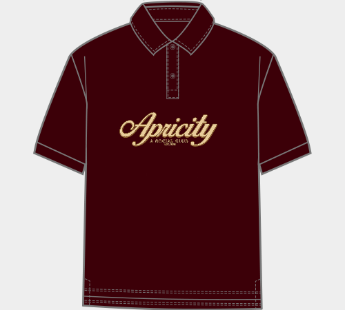Men's LYVIT Originals polo T-shirt in classic design, featuring a collar, short sleeves, and comfortable fit.