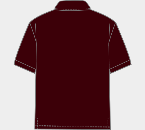 Men's polo T-shirt by LYVIT ORIGINALS, featuring a classic fit with a collar and short sleeves, in a solid color.